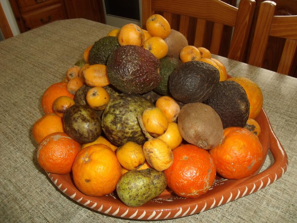 Tropical Fruit Garden Hotell Velas Exteriör bild
